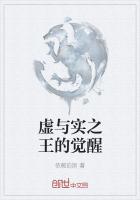 实与虚26.13攻略