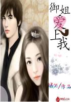爱上御姐电视剧