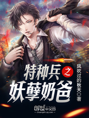 特种兵之妖孽奶爸全集免费阅读