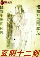 玄阴十二剑所有招式