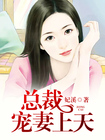 总裁宠妻上天全文阅读