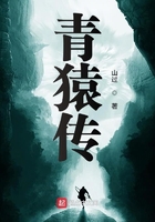 青猿传全文TXT下载