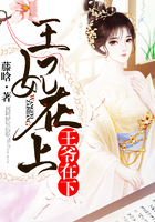 王爷在上妃在下如沁