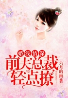 婚浅情深:前夫请离远点