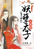 鬼手神医太子妃