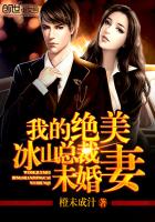 我的绝美冰山总裁未婚妻全文阅读