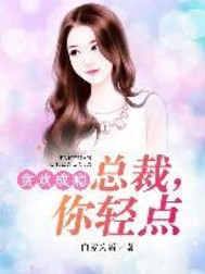 总裁轻点宠小说免费阅读全文