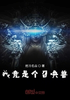 我是召唤兽 小说