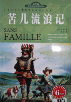 苦儿流浪记读后感