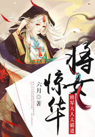 将女惊华:将军大人请上榻 小说