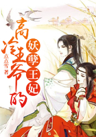 高冷王爷太凶猛