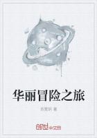 华丽冒险演员表