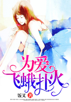 为爱飞蛾扑火的唯美图片