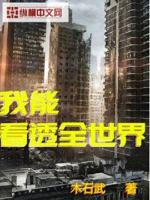 我能看透全世界 木石武