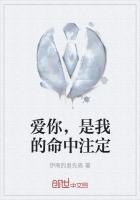 爱你,是我的命中注定小说