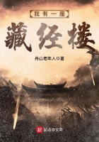 我有一座藏武楼起点中文网