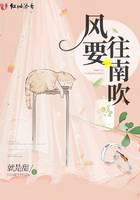 风要往南吹小说免费