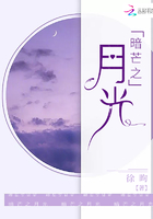 暗淡的月光之荚怎么开