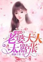 一胎双凤老婆大人太嚣张更新