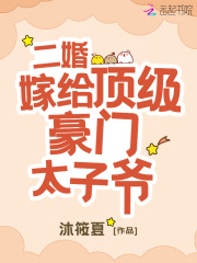 二婚嫁太子小说