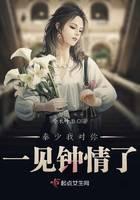 秦少我对你一见钟情了小说