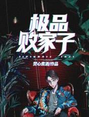 极品败家子小说免费观看