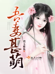 吾妻甚萌无防盗