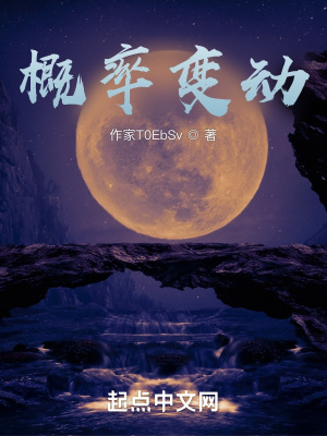 概率变数是什么意思