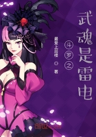 斗罗之武魂是雷电小说