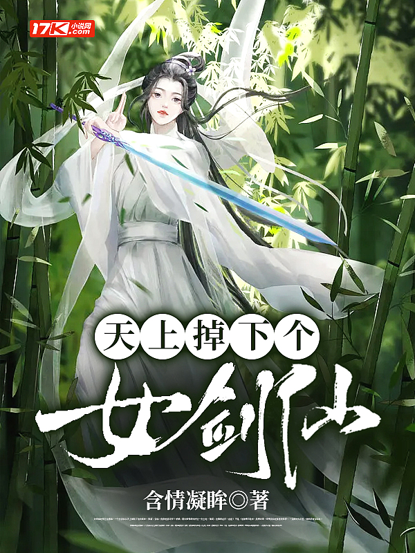 天上掉下个仙女小说