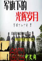 歌曲《军旗在阳光下放光辉》