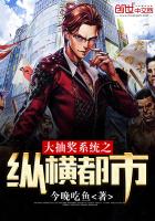 抽奖系统类小说