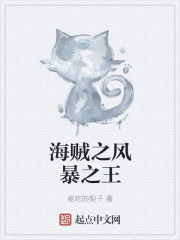 海贼之风暴主宰笔趣阁