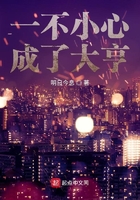 一不小心成了大亨百度云